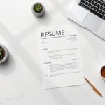contemporary australian resume examples